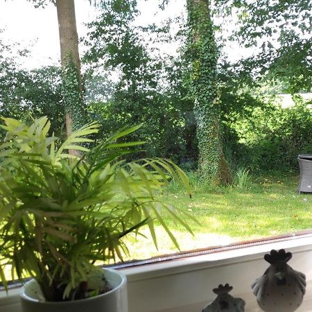 Au "Cottage Paisible" Rendeux Bagian luar foto