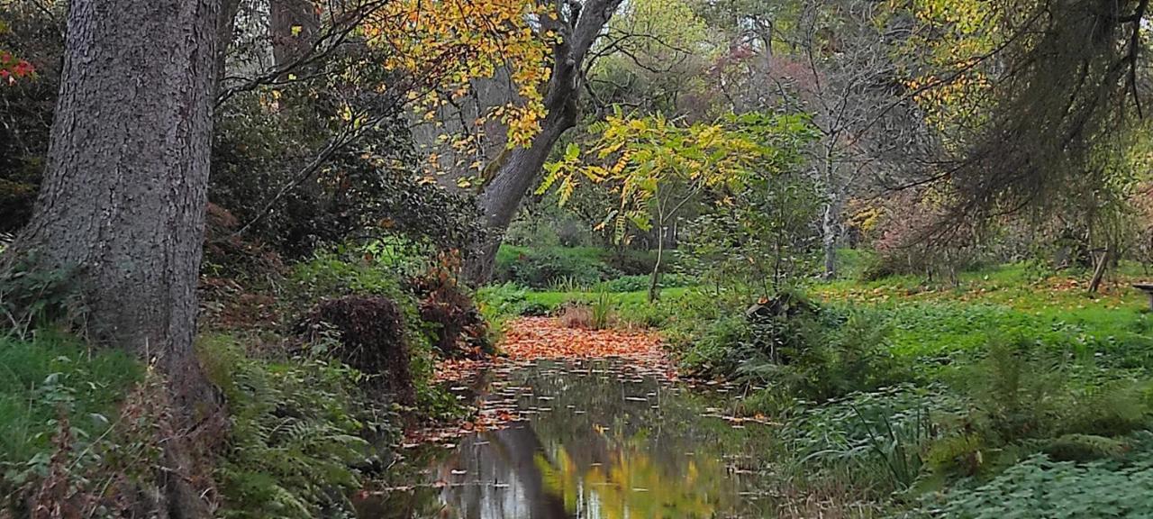 Au "Cottage Paisible" Rendeux Bagian luar foto