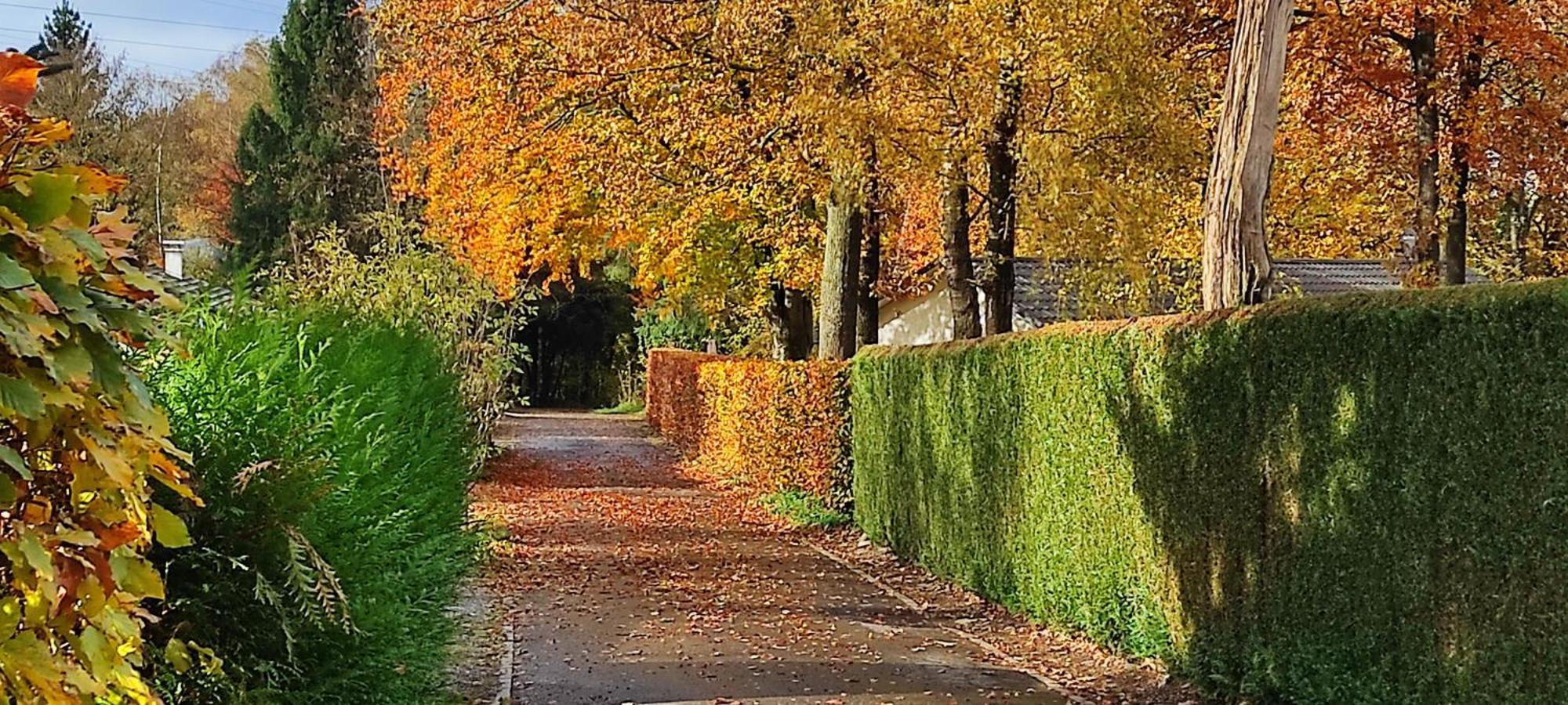 Au "Cottage Paisible" Rendeux Bagian luar foto